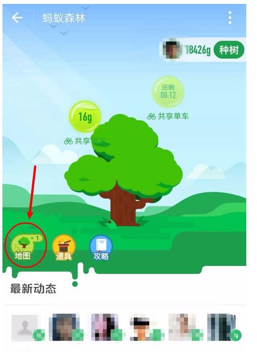 螞蟻森林阿拉善的樹(shù)具體種在哪里