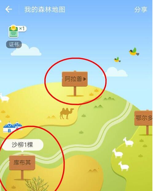螞蟻森林1.jpg