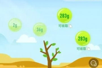 螞蟻森林