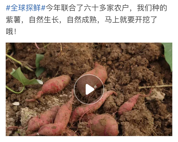 淘寶開店運(yùn)營(yíng)
