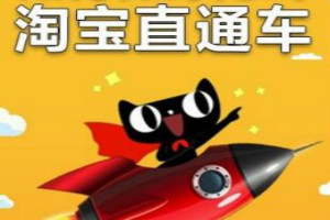 優(yōu)化直通車(chē)