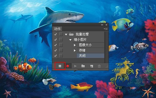 PS怎么批量處理淘寶寶貝圖片 PS怎么批量處理淘寶寶貝圖片