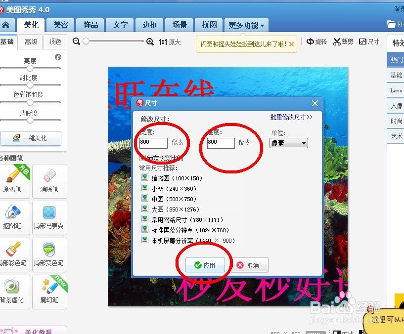 淘寶主圖尺寸有規(guī)定嗎